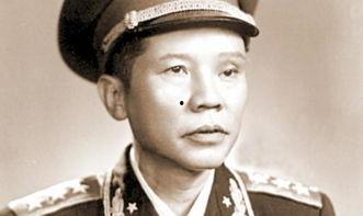 朱氏明星,璀璨星河中的璀璨明珠