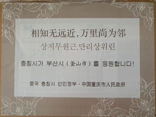 釜山港今日头条官网,今日头条官网揭晓重要资讯