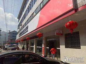 田坪县头条新闻,聚焦乡村振兴，共绘美好家园新画卷