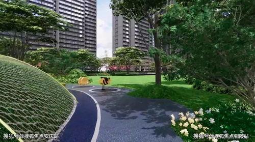 合阳马家湾新闻头条,揭秘马家湾发展新动向，共筑乡村振兴新篇章