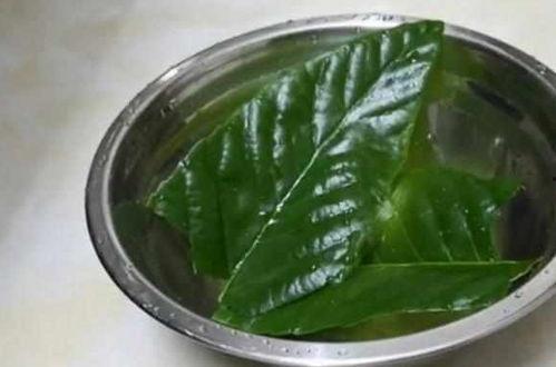 幼儿一吃哈密瓜就咳嗽,揭秘食物与过敏的微妙关系