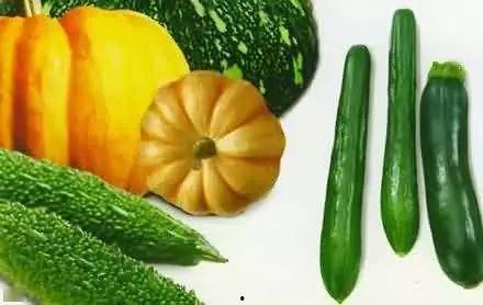 操场吃瓜,揭秘校园里的趣味瞬间