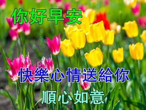 美图芬芳的头条主页,聚焦时尚潮流，解锁视觉盛宴