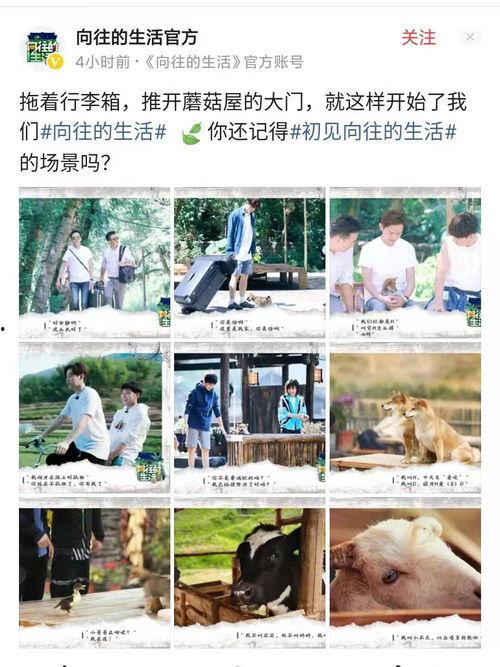 向往5最新爆料,明星们的新奇生活大揭秘！