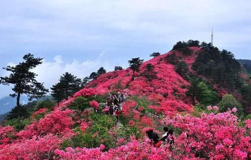 麻城龟峰山网红住宿,网红住宿带你领略自然风情