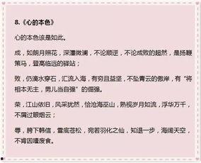 评论网红作文开头怎么写,从评论到现象的演变与思考