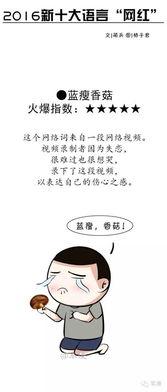 2016网红语录,年度热词盘点，笑点泪点齐飞
