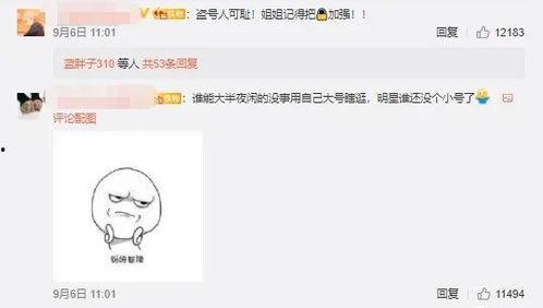 明星知乎账号,幕后故事与真实自我