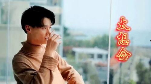 太想念网红男生版歌名,青春旋律中的情感共鸣