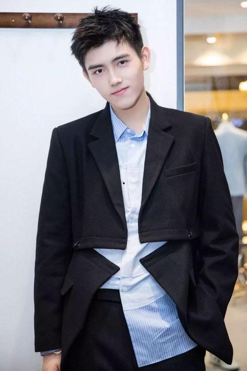 陈飞宇明星,璀璨星途，青春偶像的蜕变之路