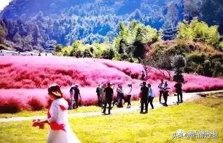 安徽有网红,魅力安徽，网络新声代