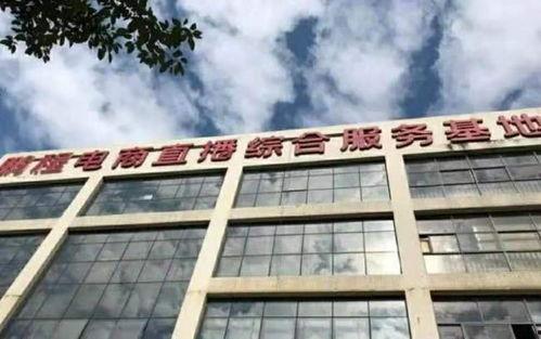 网红基地破产,从繁华到破败的产业兴衰记