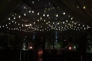 酒吧网红翅膀装饰灯图片,网红装饰灯图鉴