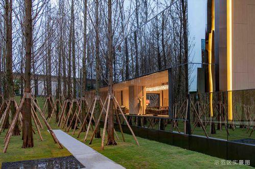 永川万科网红打卡地点,网红打卡地，探寻城市新风尚