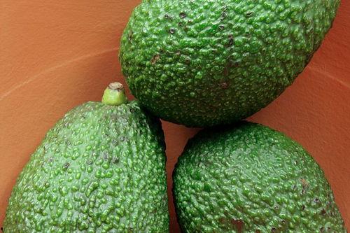 桃子姐吃哈密瓜