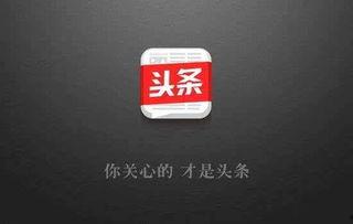 今日头条职场领域分享,今日头条揭秘职场高手必备技能