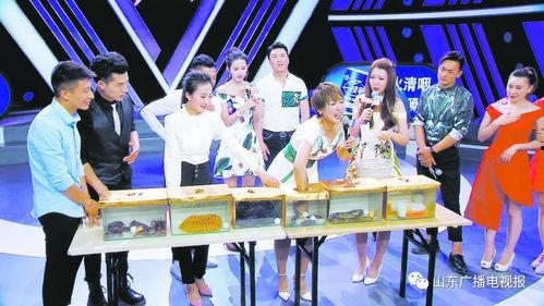 超级大明星概念,揭秘超级大明星的璀璨之路