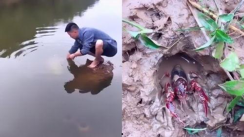 网红小伙野外抓鱼视频,网红小伙挑战自然，捕获生态美味