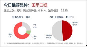 今日看料回顾,精彩瞬间与深度解析