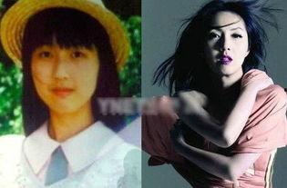 明星出道的奇葩专业,盘点明星出道背后的奇葩专业