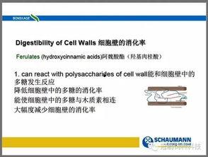 微头条优质评定标准,打造高质量内容佳作