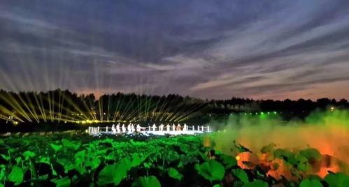 浑南网红公园打卡地点,十大必游打卡点大盘点