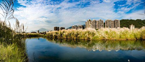 乐山沙湾区头条号,聚焦发展新动态，共绘美好未来画卷