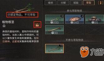 明日之后共创服更新最新内容爆料