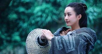 潜规明星之皇之孙俪,潜规明星之皇的荣耀传承