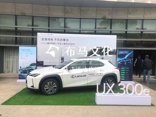 上海抖音汽车人网红,驾驭潮流，驰骋网络新天地