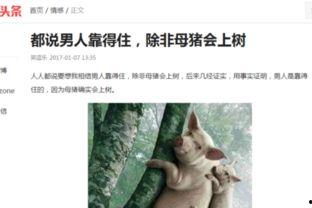 头条搞笑视频配音,笑出腹肌的瞬间，快来感受欢乐的魔力！