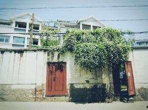 情调苏州网红景点,邂逅网红景点的诗意时光