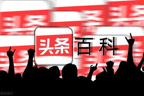 什么人用头条,他们是谁，为何选择头条？