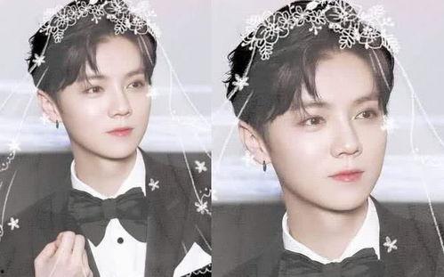 我的网红夫人鹿晗,揭秘明星背后的甜蜜生活