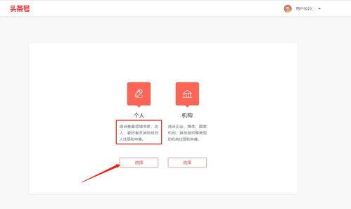 头条视频图文原创是什么,内容创作新趋势解析