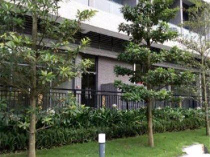 育才小区吃瓜,吃瓜群众的热议焦点