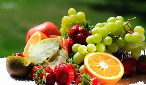 头条奇葩百科水果评测,奇葩百科里的酸甜苦辣